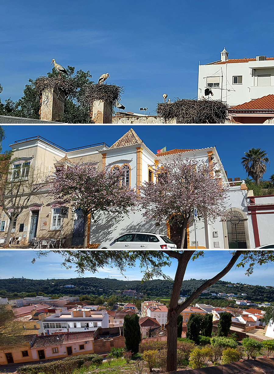 Silves